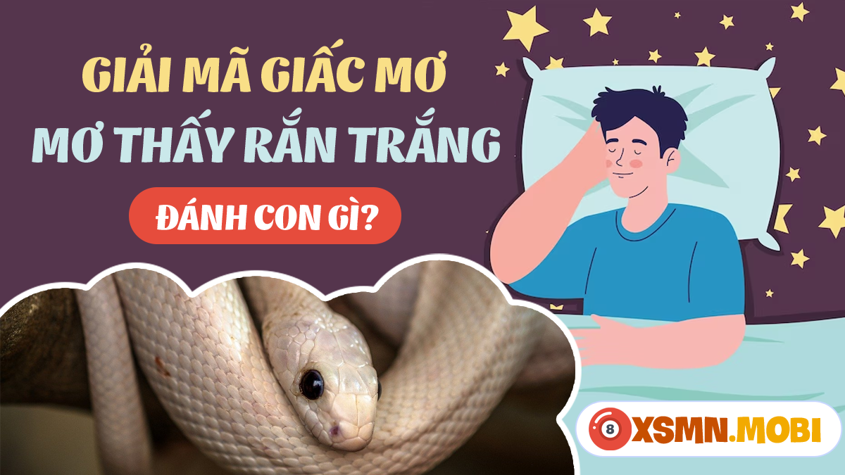 Nằm mơ thấy rắn màu trắng cắn đánh số gì? Giải mã giấc mơ lô đề!