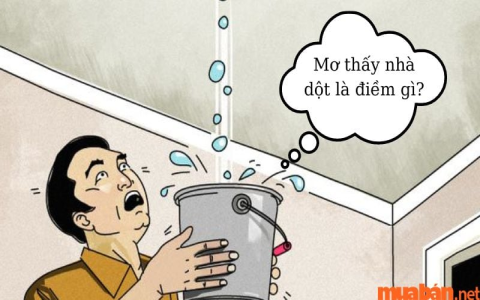 nằm mơ thấy trái mận đánh số mấy? (Bí ẩn giấc mơ và con số may mắn)