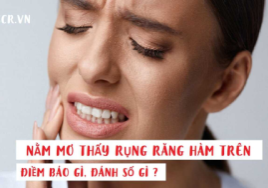 Nằm mơ đánh xóc đĩa đánh con gì? Ý nghĩa điềm báo là gì?