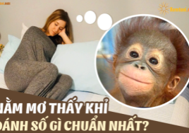 nằm mơ thấy ớt đỏ đánh số gì? Bí kíp chọn số may mắn!